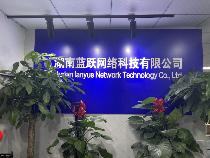 Chiny Hunan Lanyue Network Technology Co., Ltd. profil firmy